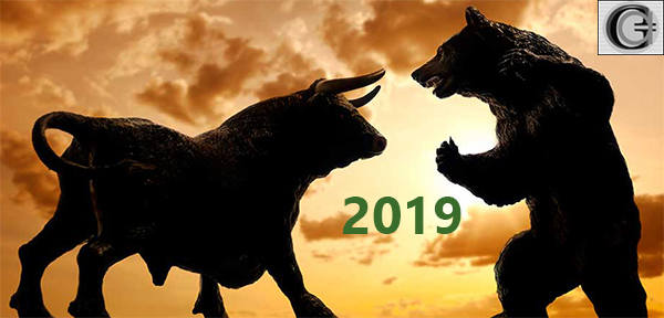 Does The Bull Survive?<br>Stock Market Outlook 2019