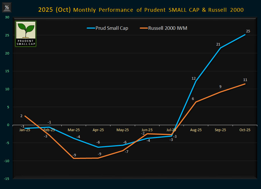 Prudent Small Cap Performance - 2025
