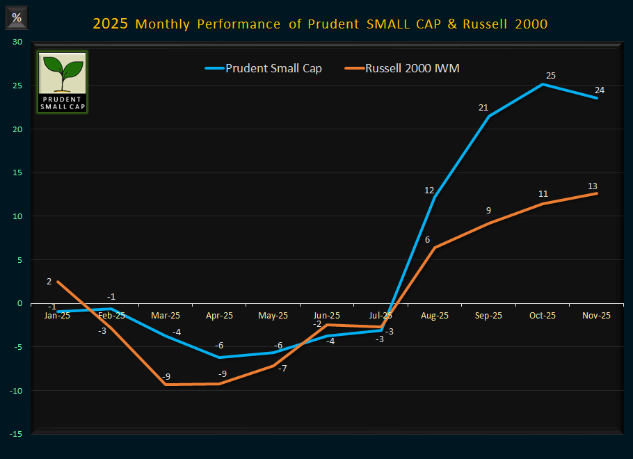Monthly-Performance-SCAP-2025 Monthly Performance Small Cap - 2025