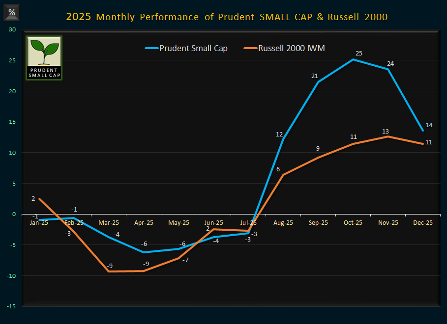Monthly Performance Small Cap - 2025